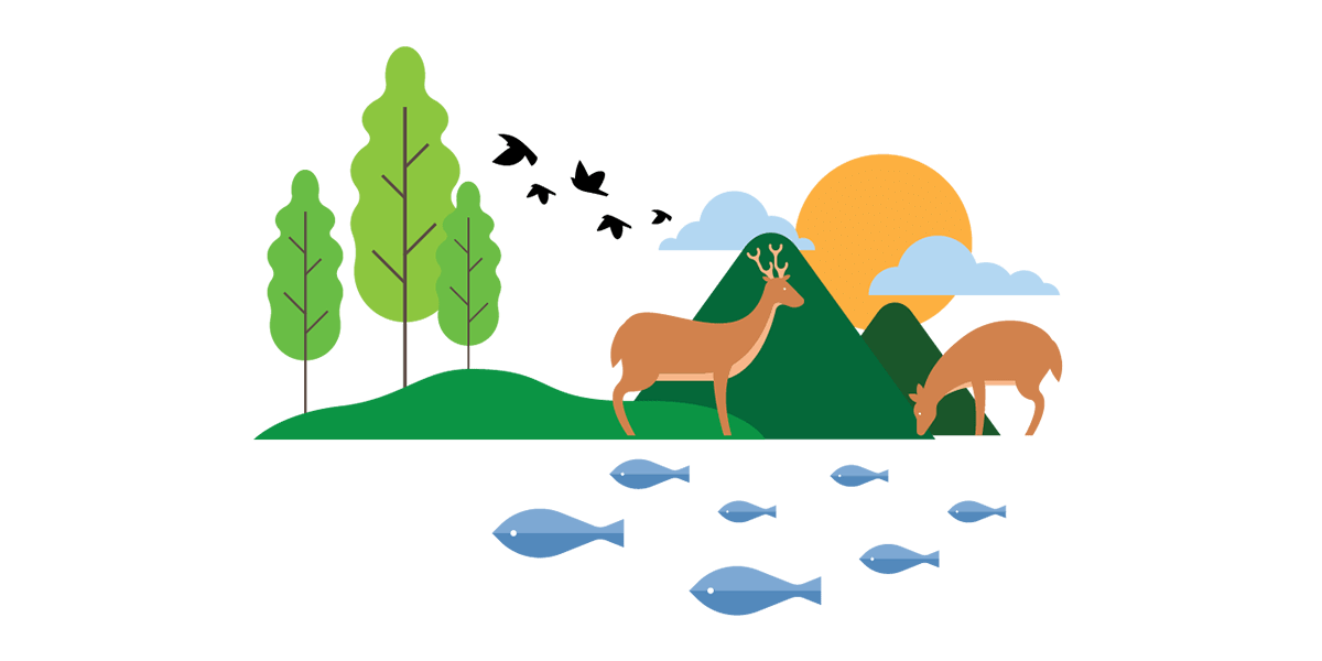 Safe environment with fish, deer, birds and green trees